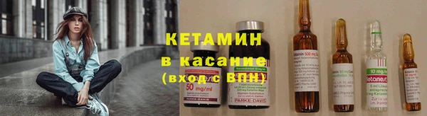 сатива Балахна