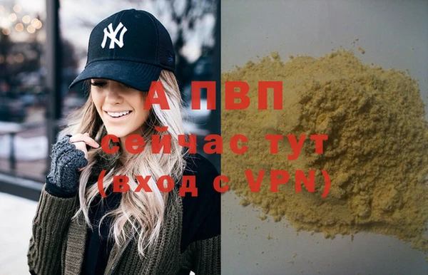 сатива Балахна