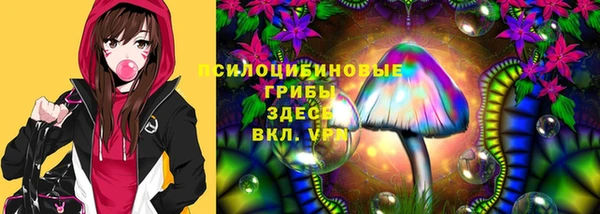 сатива Балахна