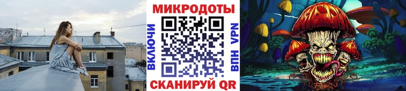 Галлюциногенные грибы Cubensis блэк спрут ссылки Бутурлиновка