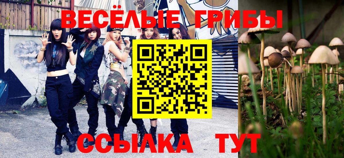 Псилоцибиновые грибы мицелий  Бутурлиновка 