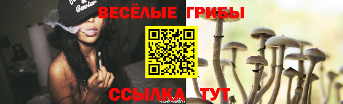 Псилоцибиновые грибы прущие грибы Бутурлиновка