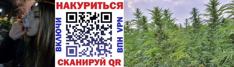 Шишки марихуана сатива  Бутурлиновка 